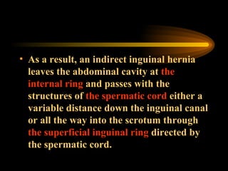 As a result, an indirect inguinal hernia leaves the abdominal cavity at  the internal ring  and passes with the structures of  the spermatic cord  either a variable distance down the inguinal canal or all the way into the scrotum through  the superficial inguinal ring  directed by the spermatic cord.  
