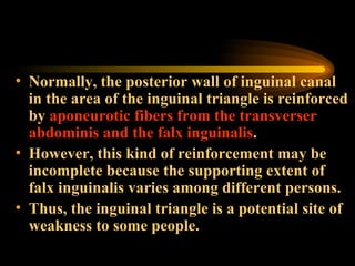 Normally, the posterior wall of inguinal canal in the area of the inguinal triangle is reinforced by  aponeurotic fibers from the transverser abdominis and the falx inguinalis .  However, this kind of reinforcement may be incomplete because the supporting extent of falx inguinalis varies among different persons.  Thus, the inguinal triangle is a potential site of weakness to some people. 
