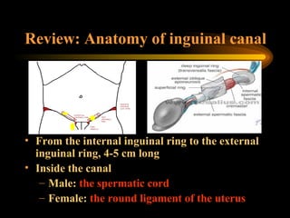 Hernias2 | PPT