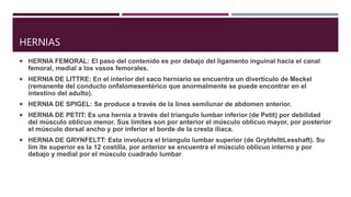 HERNIAS
 HERNIA FEMORAL: El paso del contenido es por debajo del ligamento inguinal hacia el canal
femoral, medial a los vasos femorales.
 HERNIA DE LITTRE: En el interior del saco herniario se encuentra un divertículo de Meckel
(remanente del conducto onfalomesentérico que anormalmente se puede encontrar en el
intestino del adulto).
 HERNIA DE SPIGEL: Se produce a través de la línea semilunar de abdomen anterior.
 HERNIA DE PETIT: Es una hernia a través del triangulo lumbar inferior (de Petit) por debilidad
del músculo oblicuo menor. Sus límites son por anterior el músculo oblicuo mayor, por posterior
el músculo dorsal ancho y por inferior el borde de la cresta iliaca.
 HERNIA DE GRYNFELTT: Esta involucra el triangulo lumbar superior (de GrybfelttLesshaft). Su
lím ite superior es la 12 costilla, por anterior se encuentra el músculo oblicuo interno y por
debajo y medial por el músculo cuadrado lumbar.
 