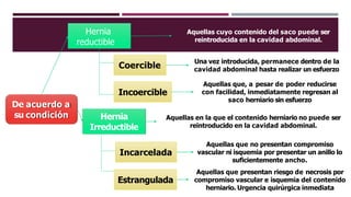 De acuerdo a
su condición
Hernia
reductible
Hernia
Irreductible
Aquellas cuyo contenido del saco puede ser
reintroducida en la cavidad abdominal.
Aquellas en la que el contenido herniario no puede ser
reintroducido en la cavidad abdominal.
Coercible
Incoercible
Una vez introducida, permanece dentro de la
cavidad abdominal hasta realizar un esfuerzo
Aquellas que, a pesar de poder reducirse
con facilidad, inmediatamente regresan al
saco herniario sin esfuerzo
Incarcelada
Estrangulada
Aquellas que no presentan compromiso
vascular ni isquemia por presentar un anillo lo
suficientemente ancho.
Aquellas que presentan riesgo de necrosis por
compromiso vascular e isquemia del contenido
herniario. Urgencia quirúrgica inmediata
 
