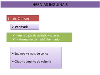 HERNIAS INGUINAIS
Sinais Clínicos
Variável:
 Intensidade da oclusão vascular
 Natureza do conteúdo herniário
Equinos – sinais de cólica
Cães – aumento de volume
 