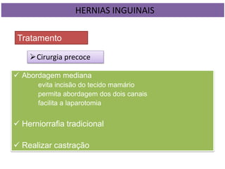  Abordagem mediana
evita incisão do tecido mamário
permita abordagem dos dois canais
facilita a laparotomia
 Herniorrafia tradicional
 Realizar castração
HERNIAS INGUINAIS
Tratamento
Cirurgia precoce
 