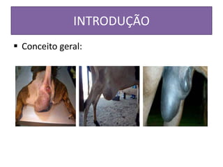 INTRODUÇÃO
 Conceito geral:
 