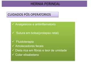  Analgésicos e antiinflamatorio
 Sutura em bolsa(prolapso retal)
 Fluidoterapia
 Amolecedores fecais
 Dieta rica em fibras e teor de umidade
 Colar elisabetano
HERNIA PERINEAL
CUIDADOS PÓS OPERATORIOS
 