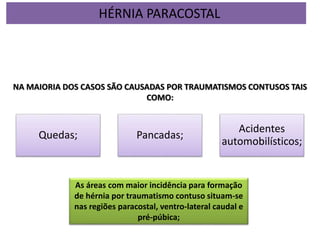 Quedas; Pancadas;
Acidentes
automobilísticos;
NA MAIORIA DOS CASOS SÃO CAUSADAS POR TRAUMATISMOS CONTUSOS TAIS
COMO:
As áreas com maior incidência para formação
de hérnia por traumatismo contuso situam-se
nas regiões paracostal, ventro-lateral caudal e
pré-púbica;
HÉRNIA PARACOSTAL
 