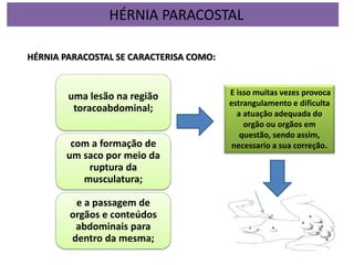 uma lesão na região
toracoabdominal;
com a formação de
um saco por meio da
ruptura da
musculatura;
e a passagem de
orgãos e conteúdos
abdominais para
dentro da mesma;
HÉRNIA PARACOSTAL SE CARACTERISA COMO:
E isso muitas vezes provoca
estrangulamento e dificulta
a atuação adequada do
orgão ou orgãos em
questão, sendo assim,
necessario a sua correção.
HÉRNIA PARACOSTAL
 