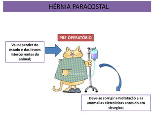 PRE-OPERATÓRIO
Deve-se corrigir a hidratação e as
anomalias eletroliticas antes do ato
cirurgico;
Vai depender do
estado e das lesoes
intercorrentes do
animal;
HÉRNIA PARACOSTAL
 
