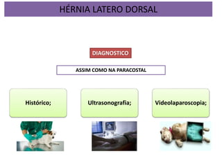 Histórico; Ultrasonografia; Videolaparoscopia;
DIAGNOSTICO
ASSIM COMO NA PARACOSTAL
HÉRNIA LATERO DORSAL
 