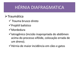 HÉRNIA DIAFRAGMATICA
Traumática
 Trauma brusco direto
Projétil balístico
Mordedura
Iatrogênico (incisão inapropriada do abdômen
acima do processo xifóide, colocação errada de
um dreno).
Hérnia de maior incidência em cães e gatos
 