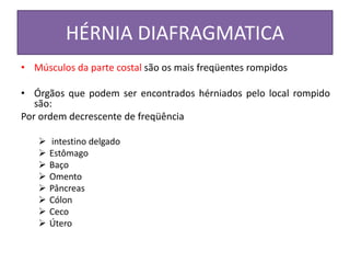 HÉRNIA DIAFRAGMATICA
• Músculos da parte costal são os mais freqüentes rompidos
• Órgãos que podem ser encontrados hérniados pelo local rompido
são:
Por ordem decrescente de freqüência
 intestino delgado
 Estômago
 Baço
 Omento
 Pâncreas
 Cólon
 Ceco
 Útero
 