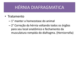 HÉRNIA DIAFRAGMATICA
• Tratamento
– 1° manter a homeostase do animal
– 2° Correção da hérnia voltando todos os órgãos
para seu local anatômico e fechamento da
musculatura rompida do diafragma. (Herniorrafia)
 