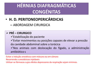 HÉRNIAS DIAFRAGMÁTICAS
CONGÉNITAS
• H. D. PERITONEOPERICÁRDICAS
– ABORDAGEM CIRURGICA
 PRÉ – CIRURGICO
Estabilização do paciente
Evitar movimentos ou posições capazes de elevar a pressão
da cavidade abdominal sobre a torácica
Nos animais com deslocação do fígado, a administração
antibiótico s
Evitar a indução anestésica com máscara ou em câmara
Recorrendo a anestésicos injetáveis
Utilizar-se fármacos cujos efeitos depressores da respiração sejam mínimos.
 