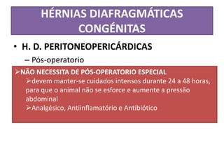 HÉRNIAS DIAFRAGMÁTICAS
CONGÉNITAS
• H. D. PERITONEOPERICÁRDICAS
– Pós-operatorio
NÃO NECESSITA DE PÓS-OPERATORIO ESPECIAL
devem manter-se cuidados intensos durante 24 a 48 horas,
para que o animal não se esforce e aumente a pressão
abdominal
Analgésico, Antiinflamatório e Antibiótico
 
