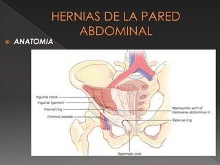  ANATOMIA
 