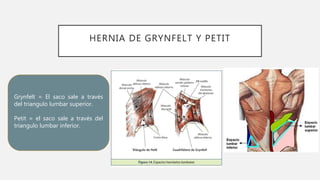 Hernias de la pared abdominal | PPTX