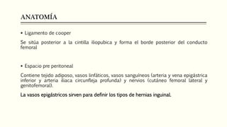 ANATOMÍA
 Ligamento de cooper
Se sitúa posterior a la cintilla iliopubica y forma el borde posterior del conducto
femoral
 Espacio pre peritoneal
Contiene tejido adiposo, vasos linfáticos, vasos sanguíneos (arteria y vena epigástrica
inferior y arteria iliaca circunfleja profunda) y nervios (cutáneo femoral lateral y
genitofemoral).
La vasos epigástricos sirven para definir los tipos de hernias inguinal.
 