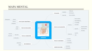 MAPA MENTAL
 