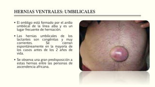 HERNIAS VENTRALES: UMBILICALES
 El ombligo está formado por el anillo
umbilical de la línea alba y es un
lugar frecuente de herniación.
 Las hernias umbilicales de los
lactantes son congénitas y muy
corrientes. Se cierran
espontáneamente en la mayoría de
los casos antes de los 2 años de
vida.
 Se observa una gran predisposición a
estas hernias entre las personas de
ascendencia africana.
 