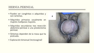 HERNIA PERINEAL
 Pueden ser congénitas o adquiridas y
son rarísimas.
 Adquiridas primarias usualmente en
mujeres multíparas mayores.
 Adquiridas secundarias tras resección
abdomino-perineal o una prostectomia
perineal.
 Síntomas dependen de la masa que ha
protruido.
 Exploración bimanual (rectovaginal)
 