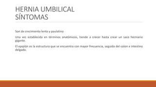 HERNIA UMBILICAL
SÍNTOMAS
Son de crecimiento lento y paulatino
Una vez establecida en términos anatómicos, tiende a crecer hasta crear un saco herniario
gigante.
El epiplón es la estructura que se encuentra con mayor frecuencia, seguida del colon e intestino
delgado.
 