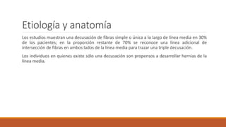 Etiología y anatomía
Los estudios muestran una decusación de fibras simple o única a lo largo de línea media en 30%
de los pacientes; en la proporción restante de 70% se reconoce una línea adicional de
intersección de fibras en ambos lados de la línea media para trazar una triple decusación.
Los individuos en quienes existe sólo una decusación son propensos a desarrollar hernias de la
línea media.
 