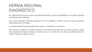 HERNIA INGUINAL
DIAGNÓSTICO
Dx. Diferencial con otras masas escrotales (hidrocele, quistes del epidídimo o el cordón inguinal
y neoplasias del testículo).
Una hernia inguinal indirecta desaparece con el decúbito, mientras que las masas escrotales
antes descritas no lo hacen.
La transiluminación permite diferenciar entre un hidrocele y una hernia.
En la hernia, al palpar el cordón inguinal en la base del escroto éste se aprecia grueso a causa
del contenido del saco herniario, mientras que si se trata de una masa escrotal primaria el
cordón inguinal se palpa normal.
 