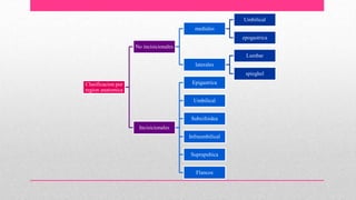 Clasificacion por
region anatomica
No incisicionales
mediales
Umbilical
epogastrica
laterales
Lumbar
spieghel
Incisicionales
Epigastrica
Umbilical
Subxifoidea
Infraumbilical
Suprapubica
Flancos
 