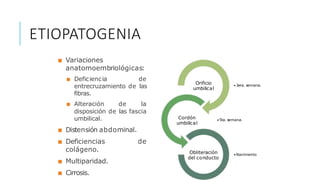■ Variaciones
anatomoembriológicas:
■ Deficiencia de
entrecruzamiento de las
fibras.
■ Alteración de la
disposición de las fascia
umbilical.
■ Distensión abdominal.
■ Deficiencias
colágeno.
■ Multiparidad.
■ Cirrosis.
de
•3era. semana.
Orificio
umbilical
•5ta. semana.
Cordón
umbilical
•Nacimiento
Obliteración
del conducto
ETIOPATOGENIA
 