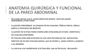 ANATOMIA QUIRÚRGICA Y FUNCIONAL
DE LA PARED ABDOMINAL
• Se puede pensar que la pared abdominal anterior tiene dos partes:
anterolateral y línea media.
• La porción anterolateral se compone de los musculos: Oblicuo interno, oblicuo
externo y transverso del abdomen
• La porción de la línea media (media) está compuesta por el recto abdominal y
los músculos piramidales.
• El músculo recto está encerrado en una vaina formada por las aponeurosis
bilaminar de los tres músculos planos, que se dividen y pasan anterior y posterior
a su alrededor.
• La vaina se une medialmente a la línea alba, que se forma por decusación
 