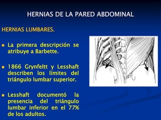 HERNIAS DE LA PARED ABDOMINAL
HERNIAS LUMBARES.
 La primera descripción se
atribuye a Barbette.
 1866 Grynfeltt y Lesshaft
describen los límites del
triángulo lumbar superior.
 Lesshaft documentó la
presencia del triángulo
lumbar inferior en el 77%
de los adultos.
 