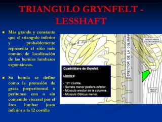 TRIANGULO GRYNFELT -
LESSHAFT
 Más grande y constante
que el triangulo inferior
y probablemente
representa el sitio más
común de localización
de las hernias lumbares
espontáneas.
 Su hernia se define
como la protusión de
grasa preperitoneal o
peritoneo con o sin
contenido visceral por el
área lumbar justo
inferior a la 12 costilla
 