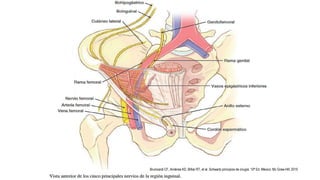 Brunicardi CF, Anderse KD, Billiar RT, et al. Schwartz principios de cirugía. 10ª Ed. México: Mc Graw-Hill; 2015
 