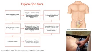Exploración física
Hernias asintomáticas se dx de
manera incidental.
Se explora al paciente en posición
de pie para incrementar la presión
intraabdominal, con exposición
plena de la región inguinal y
escroto.
Identificar protrusiones anormales
a lo largo de la región inguinal o
del escroto.
Si no hay detección evidente se
debe palpar.
La palpación se realiza al hacer
avanzar el dedo índice a través
del escroto hacia el anillo inguinal
externo. Para explorar conducto
inguinal
Se le pide al paciente que realice
la maniobra de Valsalva para
favorecer la protrusión del
contenido herniario.
Explorar lado contrario.
Considerarse otros diagnósticos
además del de hernia inguinal.
Brunicardi CF, Anderse KD, Billiar RT, et al. Schwartz principios de cirugía. 10ª Ed. México: Mc Graw-Hill; 2015
 