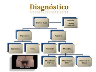 Desnudo
                                Examen físico                           De pie y
                                                                        acostado




           Inspección                                   Palpación




Localización            Forma               Condición               Maniobras




                                          Maniobra de           Maniobra de        Maniobra de
                                           Andrews                Coley              Lason
 
