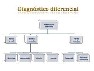 Diagnostico
                                        diferencial




 Hernia               Hernia                                     Hernia
 crural            irreducible                                  reducible




                                                                        Hidrocele
Hidrocele   Hematocele       Adenitis         Lipomas   Varicocele
                                                                        congénito
 