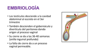 EMBRIOLOGÍA
• Los testículos desciende a la cavidad
abdominal al escroto en el 3er
trimestre
• También descienden el gobernáculo y
divertículo del peritoneo dando
origen al proceso vaginal
• Su cierre se da a las 36-40 semanas
(anillo inguinal profundo)
• La falta de cierre da a un proceso
vaginal permeable.
 