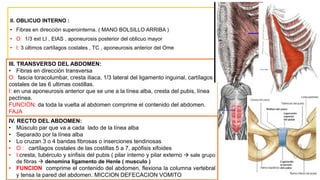 II. OBLICUO INTERNO :
• Fibras en dirección superointerna. ( MANO BOLSILLO ARRIBA )
• O: 1/3 ext LI , EIAS , aponeurosis posterior del oblicuo mayor
• I: 3 últimos cartílagos costales , TC , aponeurosis anterior del Ome
III. TRANSVERSO DEL ABDOMEN:
• Fibras en dirección transversa
O: fascia toracolumbar, cresta iliaca, 1/3 lateral del ligamento inguinal, cartílagos
costales de las 6 ultimas costillas.
I: en una aponeurosis anterior que se une a la línea alba, cresta del pubis, línea
pectínea.
FUNCIÓN: da toda la vuelta al abdomen comprime el contenido del abdomen.
FAJA
IV. RECTO DEL ABDOMEN:
• Músculo par que va a cada lado de la línea alba
• Separado por la línea alba
• Lo cruzan 3 o 4 bandas fibrosas o inserciones tendinosas
• O : cartílagos costales de las costillas 5 a 7, apófisis xifoides
• I:cresta, tubérculo y sínfisis del pubis ( pilar interno y pilar externo  sale grupo
de fibras  denomina ligamento de Henle ( musculo )
• FUNCION comprime el contenido del abdomen, flexiona la columna vertebral
y tensa la pared del abdomen. MICCION DEFECACION VOMITO
 