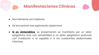 Manifestaciones Clinicas
● Normalmente son indoloras
● Se encuentran tras exploración abdominal
● Si es sintomática, su presentación se manifiesta por un dolor
epigástrico leve con sensibilidad a un dolor epigástrico profundo
con irradiación a la espalda o a los cuadrantes abdominales
inferiores.
 