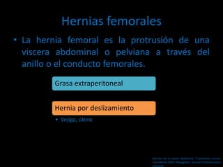 Hernias femorales
• La hernia femoral es la protrusión de una
viscera abdominal o pelviana a través del
anillo o el conducto femorales.
Grasa extraperitoneal
Hernia por deslizamiento
• Vejiga, útero
Hernias de la pared abdominal. Tratamiento actual.
2da edición 2009. Mayagoitia. Sección V Hernias poco
comunes
 