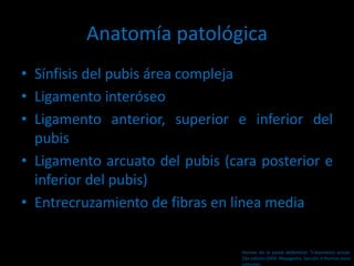 Anatomía patológica
• Sínfisis del pubis área compleja
• Ligamento interóseo
• Ligamento anterior, superior e inferior del
pubis
• Ligamento arcuato del pubis (cara posterior e
inferior del pubis)
• Entrecruzamiento de fibras en línea media
Hernias de la pared abdominal. Tratamiento actual.
2da edición 2009. Mayagoitia. Sección V Hernias poco
comunes
 