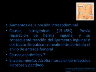 • Aumentos de la presión intraabdominal
• Causas iatrogénicas (15-45%) Previa
reparación de hernia inguinal y su
consecuente tracción del ligamento inguinal o
del tracto iliopúbico cranealmente abriendo el
anillo de entrada femoral
• Causas anatómicas ?
• Envejecimiento: Atrofia muscular de músculos
iliopsoas y pectíneo
Hernias de la pared abdominal. Tratamiento actual.
2da edición 2009. Mayagoitia. Sección V Hernias poco
comunes
 