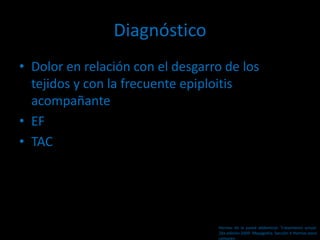 Diagnóstico
• Dolor en relación con el desgarro de los
tejidos y con la frecuente epiploitis
acompañante
• EF
• TAC
Hernias de la pared abdominal. Tratamiento actual.
2da edición 2009. Mayagoitia. Sección V Hernias poco
comunes
 