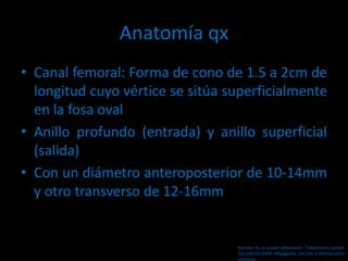 Anatomía qx
• Canal femoral: Forma de cono de 1.5 a 2cm de
longitud cuyo vértice se sitúa superficialmente
en la fosa oval
• Anillo profundo (entrada) y anillo superficial
(salida)
• Con un diámetro anteroposterior de 10-14mm
y otro transverso de 12-16mm
Hernias de la pared abdominal. Tratamiento actual.
2da edición 2009. Mayagoitia. Sección V Hernias poco
comunes
 