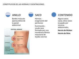 CONSTITUCION DE LAS HERNIAS Y EVENTRACIONES
Bordes músculo
aponeurótico de
la pared
abdominal
ANILLO
Hernias.-
evaginación del
peritoneo
Eventración.-
seudo saco
formado por una
membrana fibrosa
reaccional de
tejidos vecinos
SACO
Alguna veces
vacío; otras veces
ocupado por
vísceras
abdominales.
Hernia de Richter
Hernia de littre
CONTENIDO
 