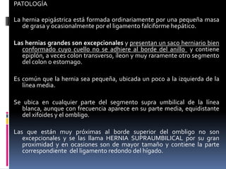 PATOLOGÍA

La hernia epigástrica está formada ordinariamente por una pequeña masa
   de grasa y ocasionalmente por el ligamento falciforme hepático.

Las hernias grandes son excepcionales y presentan un saco herniario bien
   conformado cuyo cuello no se adhiere al borde del anillo y contiene
   epiplón, a veces colon transverso, íleon y muy raramente otro segmento
   del colon o estomago.

Es común que la hernia sea pequeña, ubicada un poco a la izquierda de la
   línea media.

Se ubica en cualquier parte del segmento supra umbilical de la línea
  blanca, aunque con frecuencia aparece en su parte media, equidistante
  del xifoides y el ombligo.

Las que están muy próximas al borde superior del ombligo no son
   excepcionales y se las llama HERNIA SUPRAUMBILICAL por su gran
   proximidad y en ocasiones son de mayor tamaño y contiene la parte
   correspondiente del ligamento redondo del hígado.
 