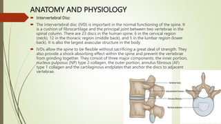 Disc In Human Body Herniated Nucleus Pulposus (HNP).pptx