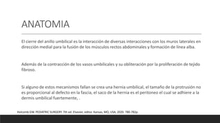 ANATOMIA
El cierre del anillo umbilical es la interacción de diversas interacciones con los muros laterales en
dirección medial para la fusión de los músculos rectos abdominales y formación de línea alba.
Además de la contracción de los vasos umbilicales y su obliteración por la proliferación de tejido
fibroso.
Si alguno de estos mecanismos fallan se crea una hernia umbilical, el tamaño de la protrusión no
es proporcional al defecto en la fascia, el saco de la hernia es el peritoneo el cual se adhiere a la
dermis umbilical fuertemente, .
Holcomb GW. PEDIATRIC SURGERY. 7th ed. Elsevier, editor. Kansas, MO, USA; 2020. 780-782p.
 