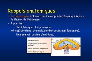 Rappels anatomiques

• Le diaphragme : cloison musculo-aponévrotique qui sépare
le thorax de l’abdomen. 
• 2 parties :
Périphérique : large muscle
mince(3portions :sternale,condro-costale,et lombaire).
Un sommet :centre phrénique.
Centre phrénique
►Diaphragme musculaire (zone
centrale)
►Partie musculaire périphérique
►Piliers diaphragmatiques

 