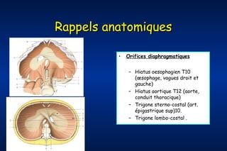Rappels anatomiques
•

Orifices diaphragmatiques
– Hiatus oesophagien T10
(œsophage, vagues droit et
gauche)
– Hiatus aortique T12 (aorte,
conduit thoracique)
– Trigone sterno-costal (art.
épigastrique sup)10.
– Trigone lombo-costal .

 